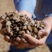 Australia, India invited to G7 meeting on critical minerals: US treasury secretary