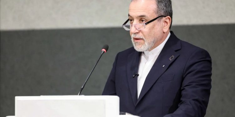 Iran FM says agreed with US ‘on guiding principles’ for deal