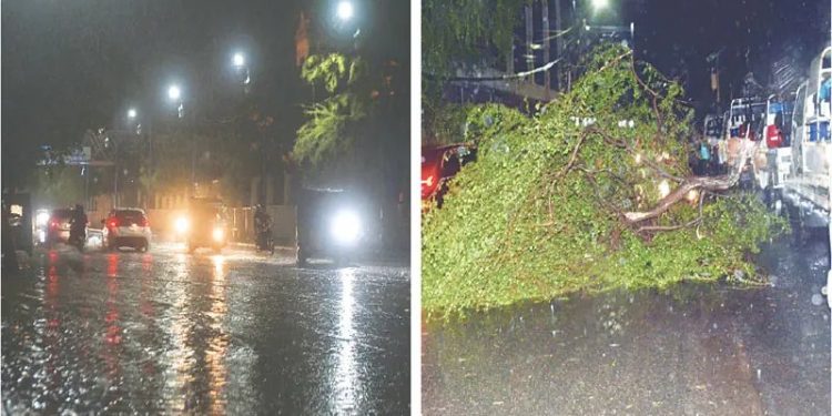 16 dead, several injured as rain with strong winds lashes Karachi
