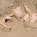 Submerged ruins discovered in Indus Delta
