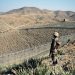 Govt rubbishes Afghan Taliban’s ‘frivolous’ claim of Pakistan violating truce