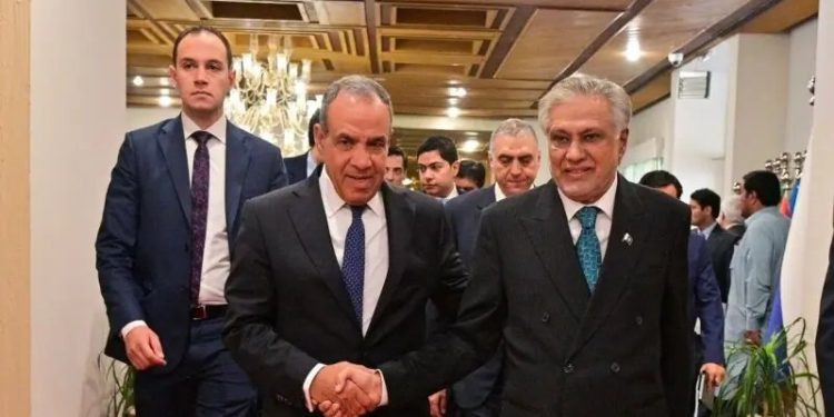 FM Dar suffers ‘hairline fracture’ after fall while hosting Egyptian counterpart