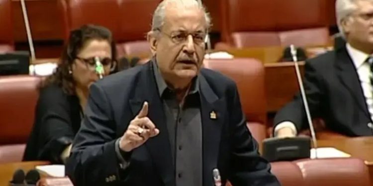 No need for 28th Constitutional Amendment, says Raza Rabbani