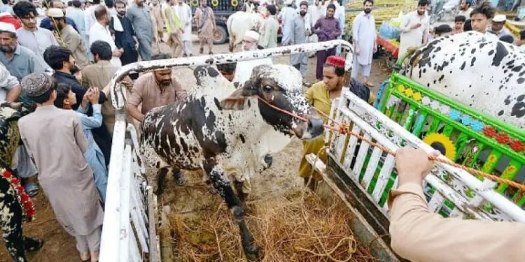 Govt announces Eidul Azha holidays from May 26-28