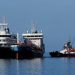 US, French nationals from hantavirus ship test positive