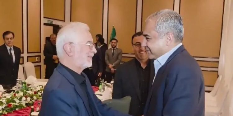 Pakistan will continue its efforts for lasting peace in the Middle East, Naqvi tells Iranian counterpart