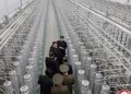 North Korea’s Kim calls for ‘exponential’ nuclear expansion after inspecting new plant