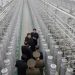 North Korea’s Kim calls for ‘exponential’ nuclear expansion after inspecting new plant