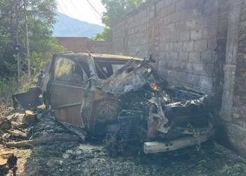 Transport leader injured in Swat armed attack; son among 3 killed