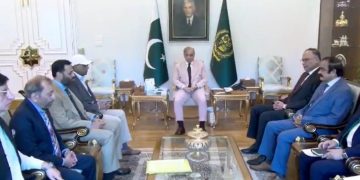MQM-P delegation calls on PM Shehbaz ahead of budget; party leader says Rs20bn allocation sought for Karachi projects