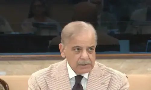 PM Shehbaz stresses importance of country’s ‘strong security’ ahead of budget presentation