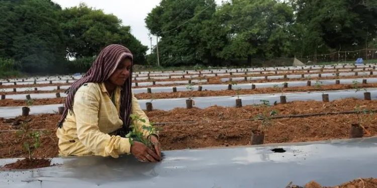 Tata’s iPhone parts factory in India’s Tamil Nadu faces health probe after farmers’ contamination complaints