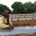 Tata’s iPhone parts factory in India’s Tamil Nadu faces health probe after farmers’ contamination complaints